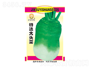 ���x���^��-̫���N�I(y��)