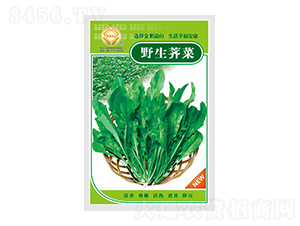 �j�˷N��-Ұ���j��-̫���N�I(y��)