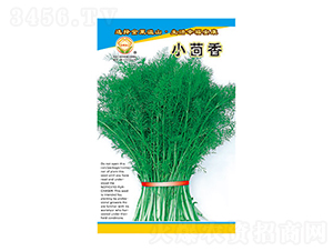 小茴香-太樂(lè)種業(yè)