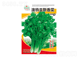 ���˷N��-���؁�˹����-̫��(l��)�N�I(y��)