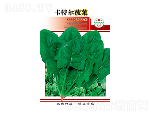 ���˷N��-���ؠ�����-̫��(l��)�N�I(y��)