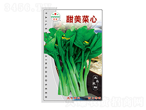 ��������-̫���N�I(y��)