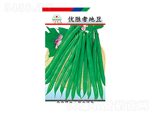 �����N��-��(y��u)���ߵض�-̫���N�I(y��)