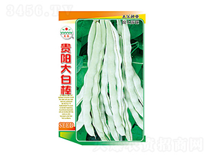 �����N��-�Fꖴ�װ�-̫���N�I(y��)