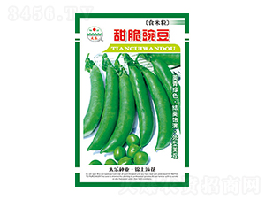 �㶹�N��-����㶹-̫���N�I(y��)