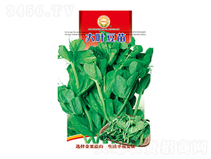 ���~����-̫���N�I(y��)