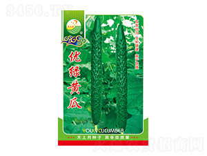 �S�ϷN��-��(y��u)�G�S��-̫��(l��)�N�I(y��)