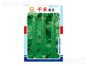 �S�ϷN��-ǧ���S��-̫��(l��)�N�I(y��)