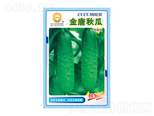 �S�ϷN��-�������-̫��(l��)�N�I(y��)