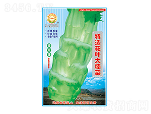 ���˷N��-���x���~�����-̫���N�I(y��)