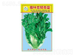 ��˷N��-���~�������-̫���N�I(y��)