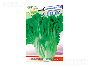 ��˷N��-������004-̫���N�I(y��)