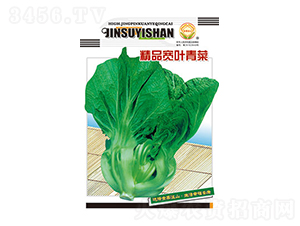 ��˷N��-��Ʒ���~���-̫���N�I(y��)