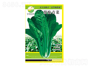 青菜種子-甜脆青菜-太樂(lè)種業(yè)