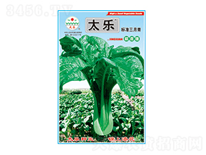 青菜種子-標(biāo)準(zhǔn)三月青-太樂(lè)種業(yè)