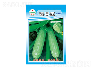 �����J�N��-�x����-̫���N�I(y��)