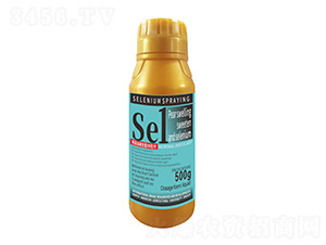 500������������������1̖(h��o)-�����r(n��ng)��