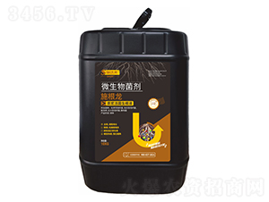 ʩ����΢�������-ʩ�_(d��)��