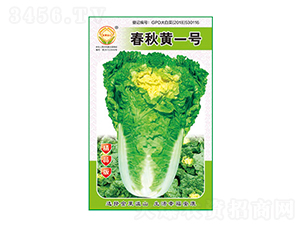 �ײ˷N��-�����Sһ̖(h��o)��Ʒ��-̫���N�I(y��)