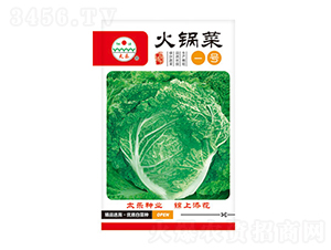 �ײ˷N��-��偲�-̫���N�I(y��)