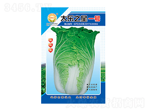 �ײ˷N��-̫��֮��һ̖(h��o)��Ʒ��-̫���N�I(y��)