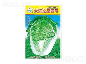 �ײ˷N��-̫��֮����̖(h��o)-̫���N�I(y��)