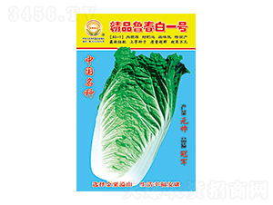 �ײ˷N��-��Ʒ������һ̖(h��o)-̫���N�I(y��)