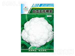 �׻�Ҭ�˷N��-��ѩ����Ҭ��100��-̫���N�I(y��)