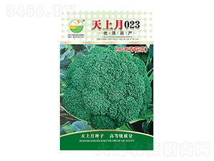 ���m���N��-������023-̫���N�I(y��)