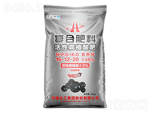 ���Ը�ֲ��ʏ�(f��)�Ϸ���16-12-20-���A��-�A���������F