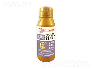 �o�����̃�-�����r(n��ng)��