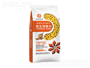 Դ����΢�������-���⻨