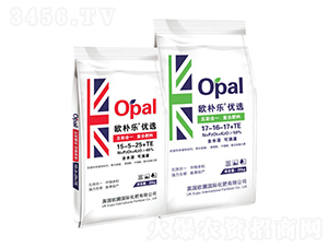 ��ʺ�һ�ͺϷ���-�W�㘷