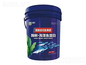 ø�⡤�����~����-���_(d��)