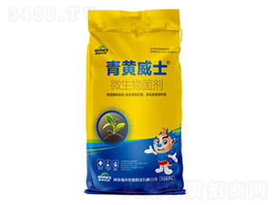 ΢�������-���S��ʿ-��(qi��ng)��Ƽ�