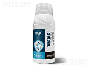 �|����(y��u)���������-����Ƽ�