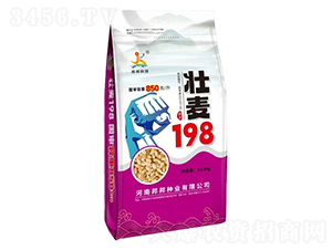 ����198С���N��-���Ƽ�