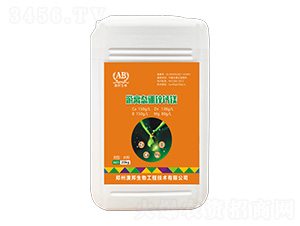 ���x�B(t��i)���\�}�V-�İ�����