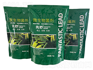 ΢�������-����-�̩