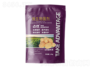 �R��팣��΢�������-ռ��(y��u)-�̩