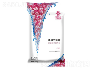 ��ͥ�@ˇ�I�B(y��ng)�ۣ��������⛣�-��ӯͥ-�A��(qi��ng)�������F(tu��n)