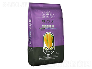 �����m�Ï�(f��)�Ϸ���24-12-6-�÷���-�A��(qi��ng)�������F(tu��n)