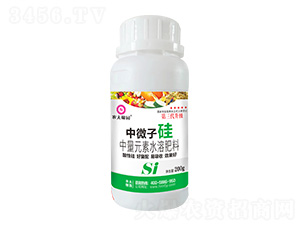 200g����Ԫ��ˮ�ܷ���-��΢�ӹ�-�r��ڈ@