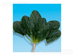 ���˷N��-孲�5̖(h��o)-�A孷N�I(y��)