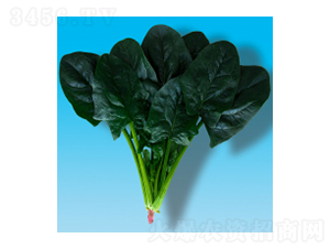 ���˷N��-孲�012-�A孷N�I(y��)