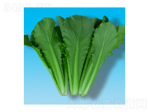 ��˷N��-����С�ײ�319-�A孷N�I(y��)