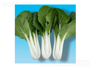 �๣�˷N��-�̰ײ�306-�A孷N�I(y��)