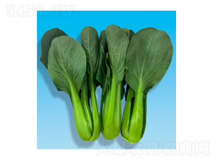 �๣�˷N��-�L���L-�A孷N�I(y��)