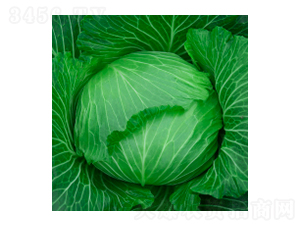 ���{(l��n)�N��-學�316-�A孷N�I(y��)