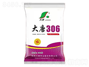 ����306-���׷N��-���ƷN�I(y��)